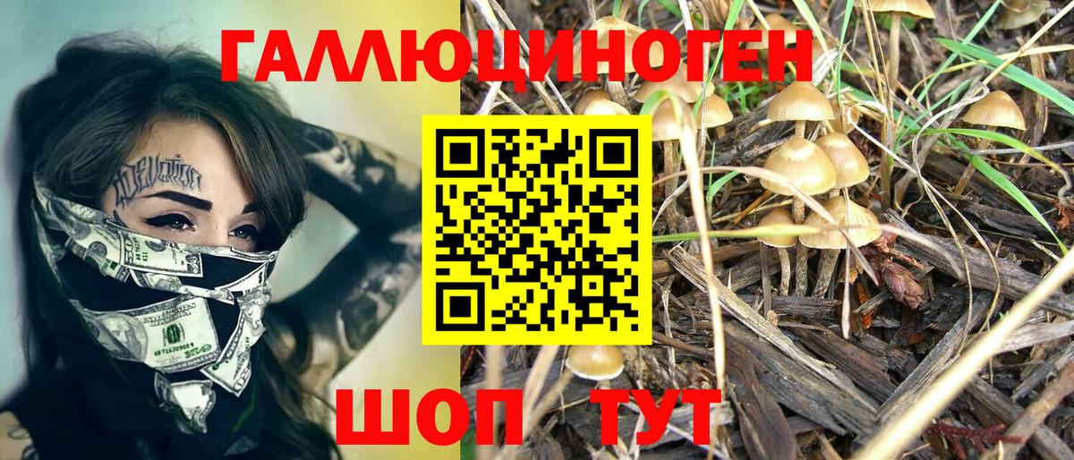 Галлюциногенные грибы Magic Shrooms Новороссийск