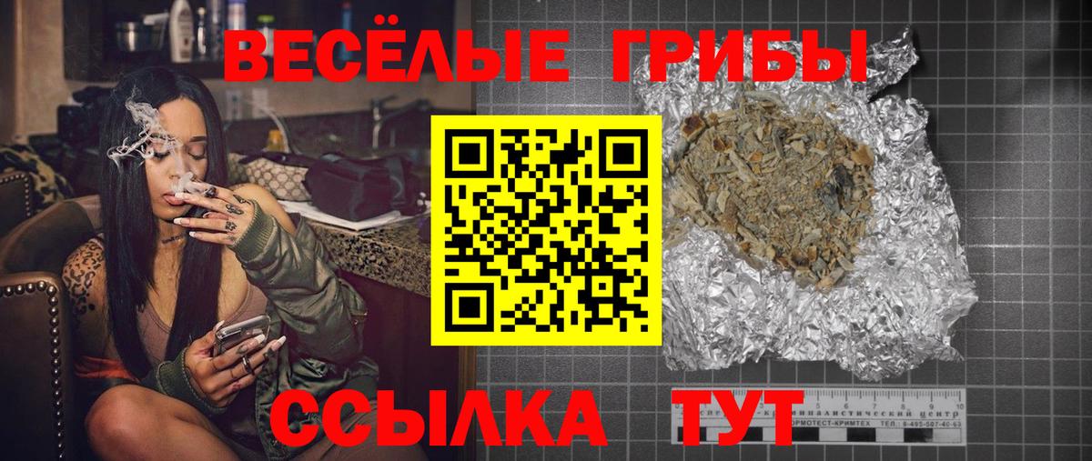 как найти наркотики  Псилоцибиновые грибы ЛСД  Псилоцибиновые грибы MAGIC MUSHROOMS  Вход с VPN  Новороссийск 